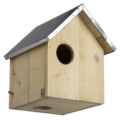 Casa Nido de Ardilla